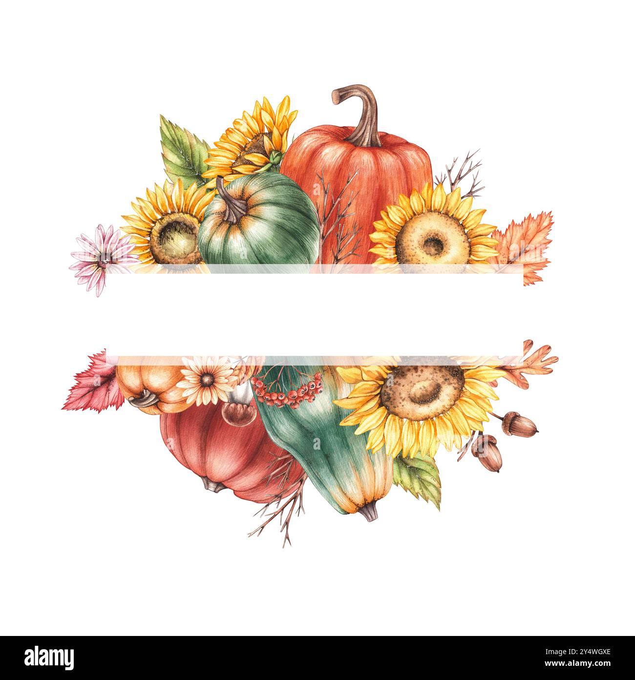 Watercolor autumn illustration with pumpkins and sunflowers Stock Photo ...