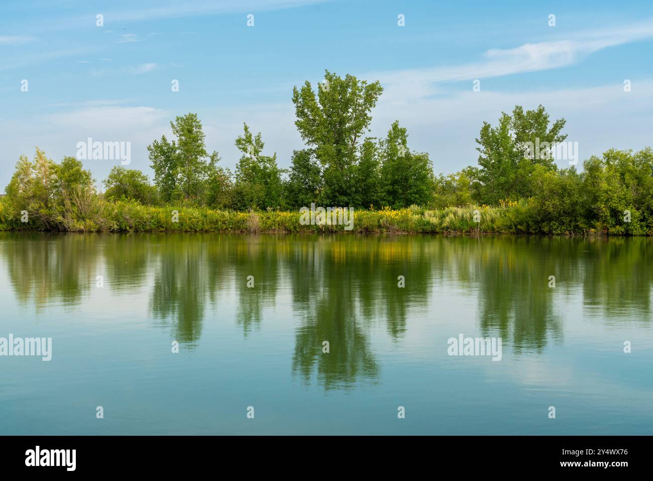 A wetlands pond at FortWhyte Alive, Winnipeg, Manitoba, Canada. Stock Photo