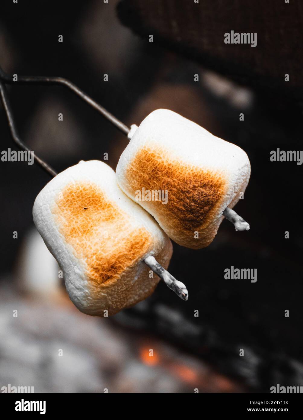 marshmallows roasting over open fire with ashes Stock Photo