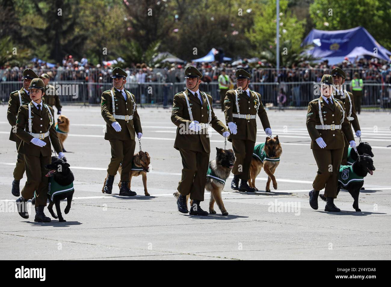 Santiago de Chile - September 19, 2024: Carabineros parade with the ...