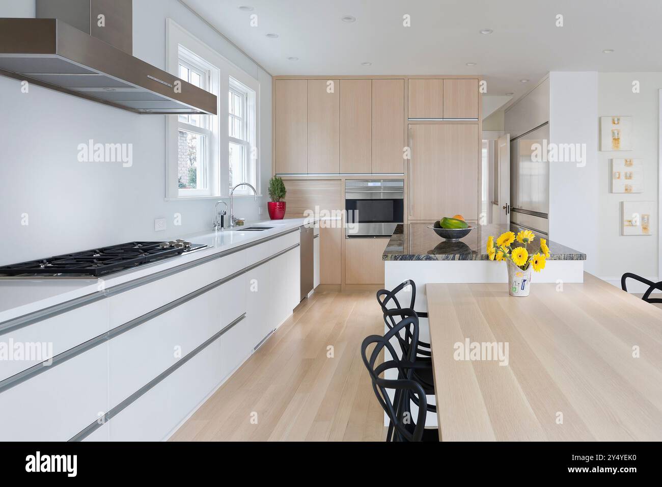 Modern upscale kitchen with combination of light wood and white