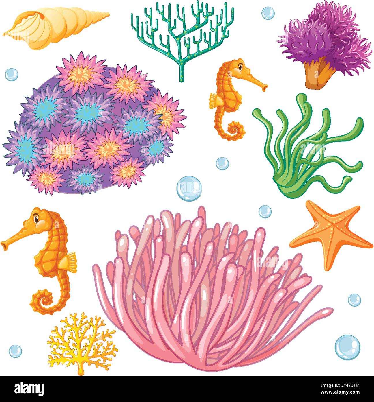 Seahorses, corals, and sea plants illustration Stock Vector Image & Art ...