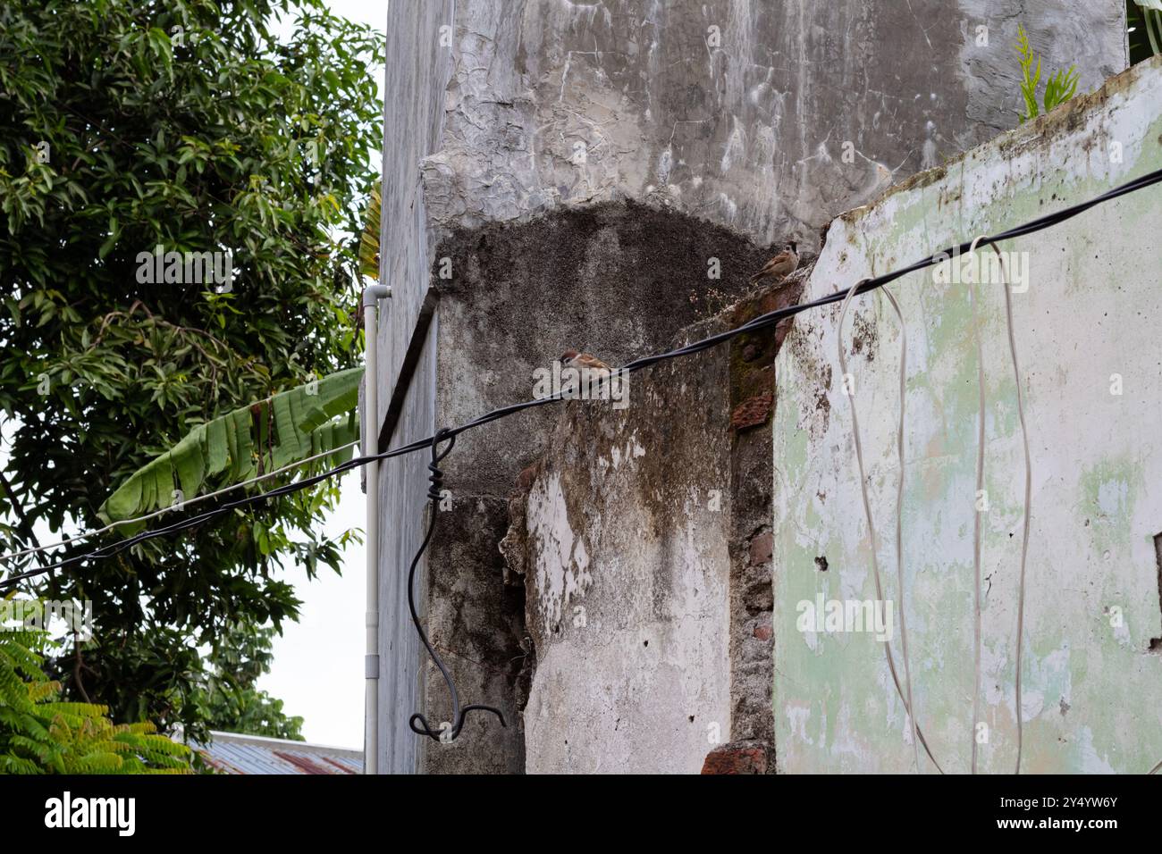 Wall fragment with scratches and cracks Stock Photo