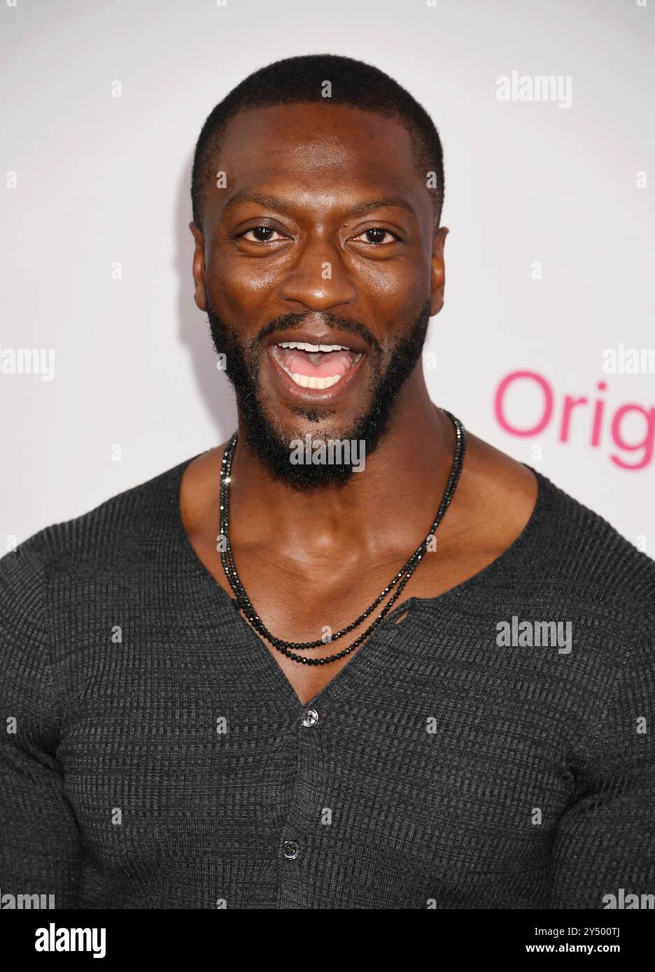 Aldis hi-res stock photography and images - Page 2 - Alamy, image size:936x1390