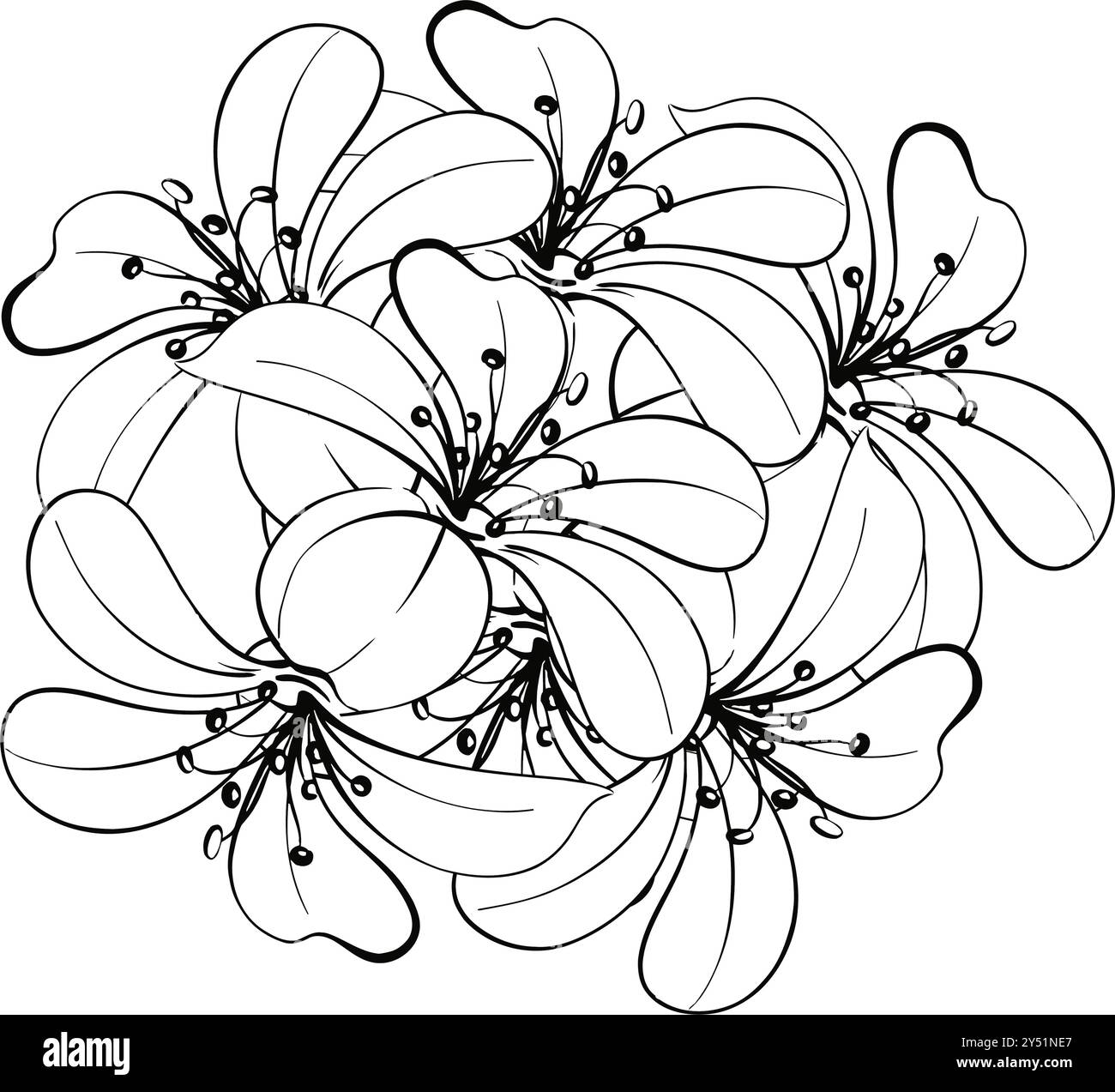 Pattern of bloom bouquet lily Romantic springtime flower in vintage ...