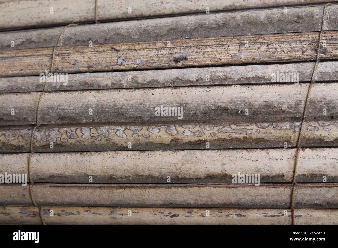 Bamboo curtain Stock Photo