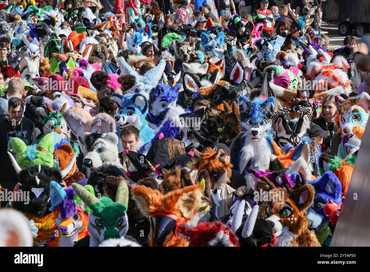 20 September 2024 Hamburg Attendees Of The Eurofurence Convention In 20 September 2024 Hamburg Attendees Of The Eurofurence Convention In