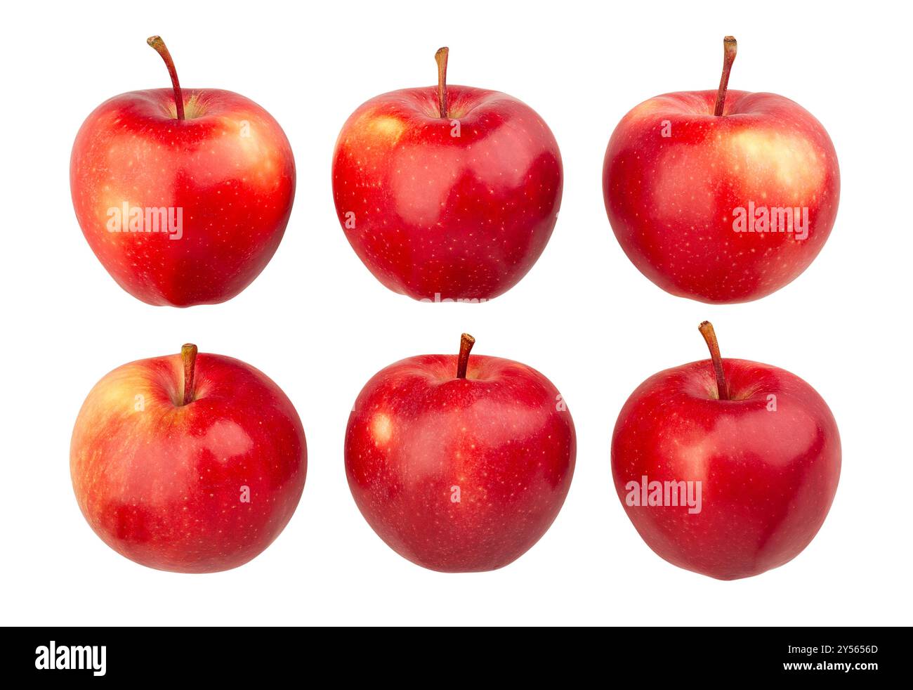 red apples path isolated on white Stock Photo