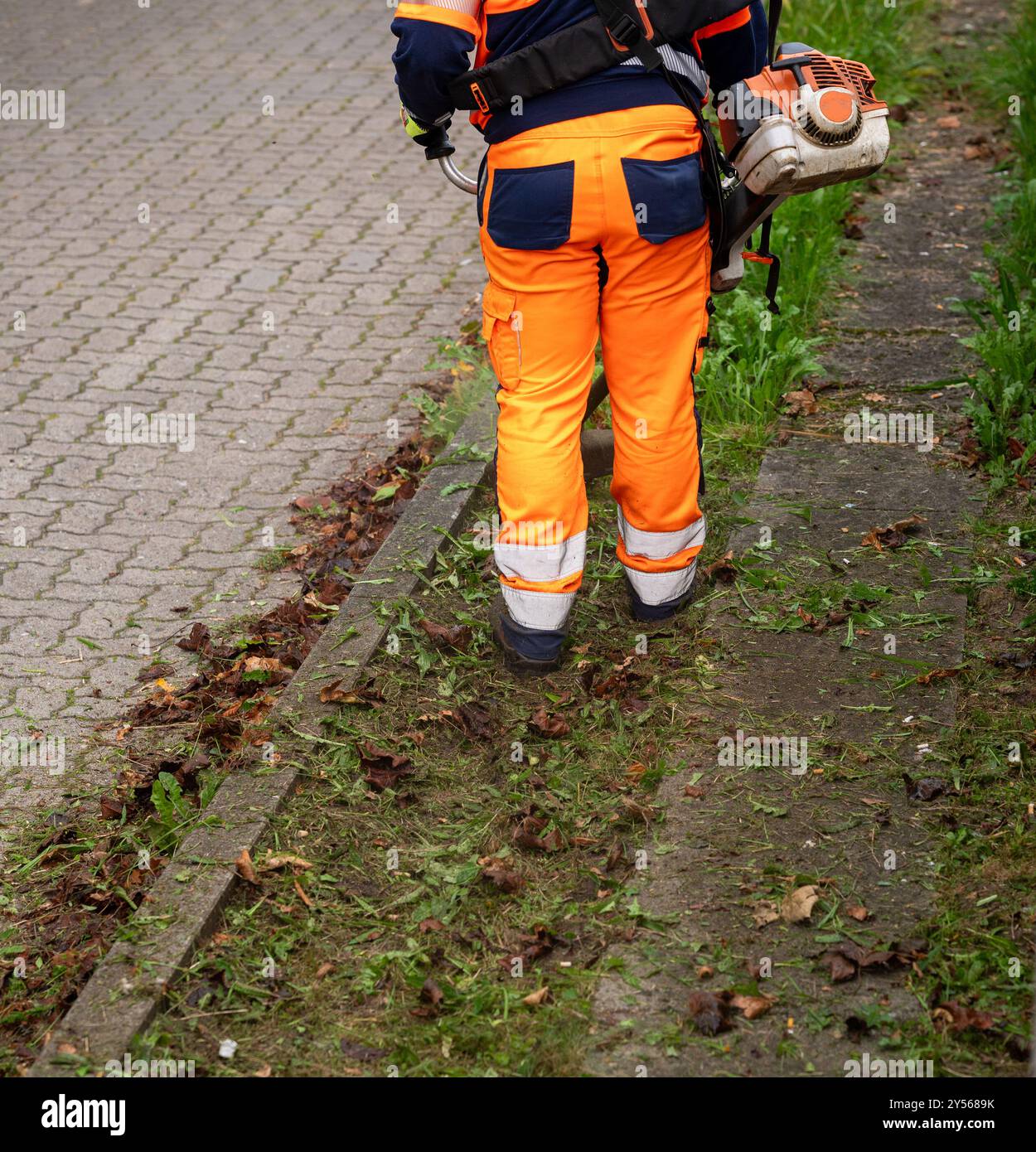 Professional working trimming grass next to a public street Stock Photo ...