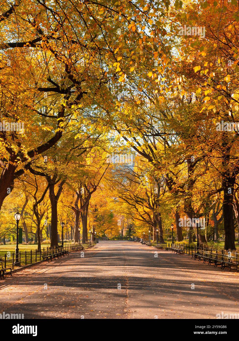 Central Park Poet's Walk promenade and colorful full autumn foliage