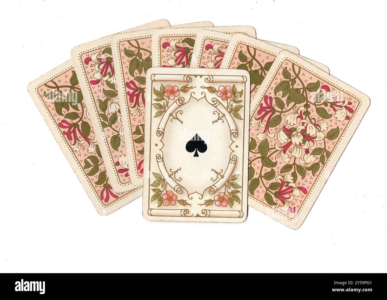 Collectable Card Back A fan of vintage card backs with one picture card revealed on a white ...
