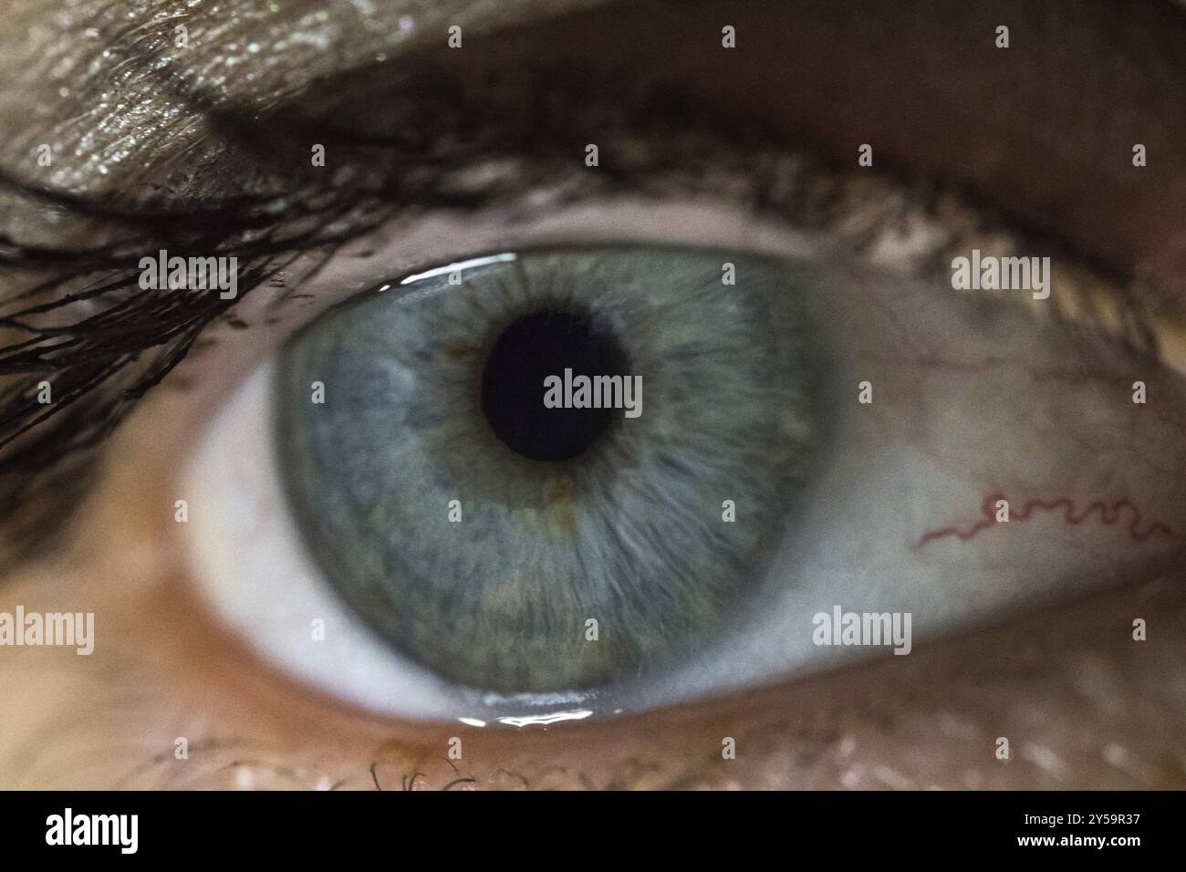 Macro image of a human eye Stock Photo - Alamy