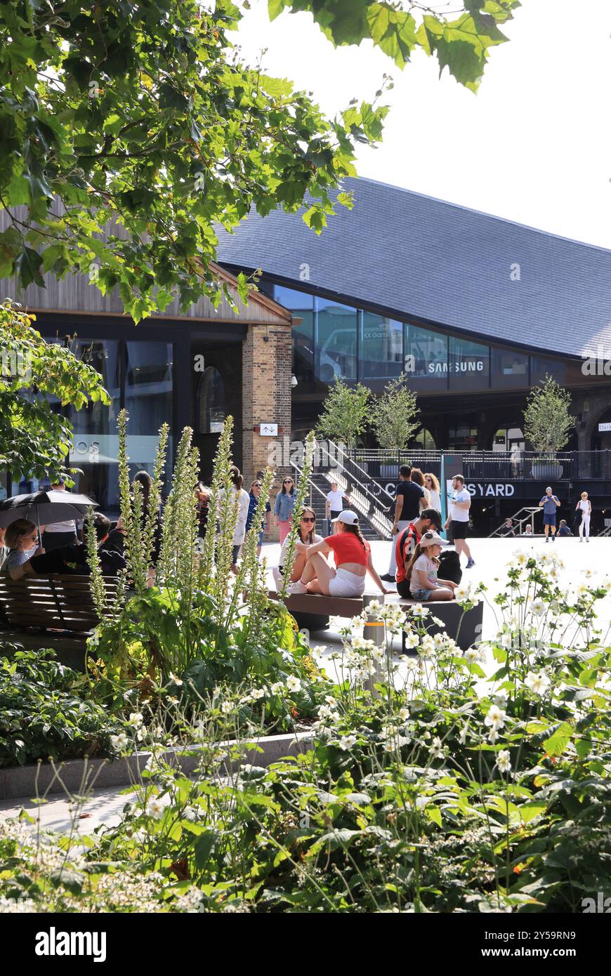 Summer flowers on Lewis Cubitt Square at Coal Drops Yard, Kings Cross, north London, UK Stock Photo