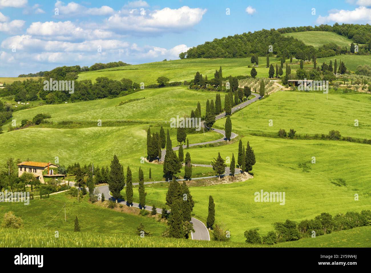 Tuscany road with cypress trees, Val d'Orcia, Italy, Europe Stock Photo