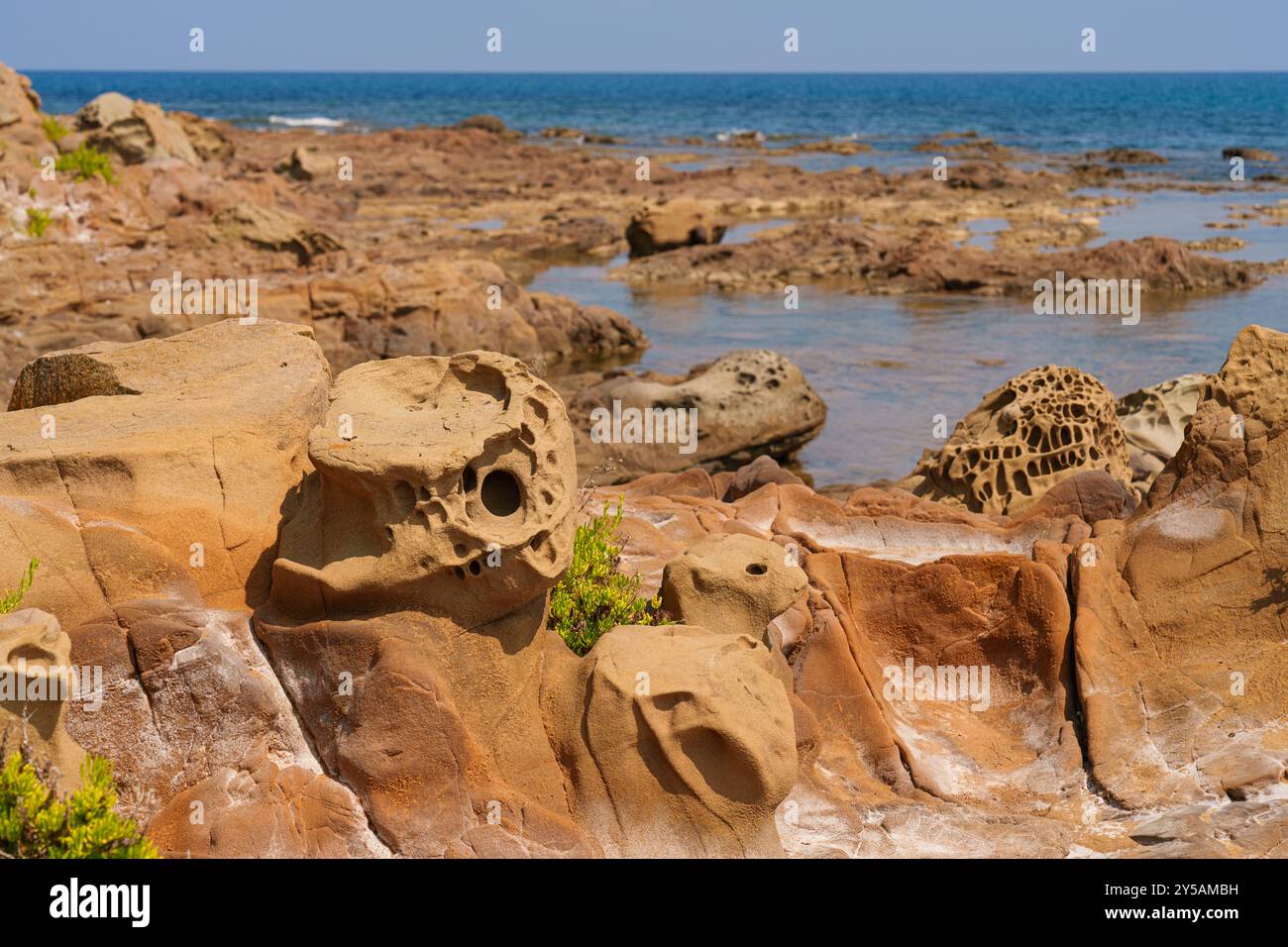 Strange Patterns On Rocks Eroded Coastal Rocks with Intricate Natural Patterns Stock Photo - Alamy