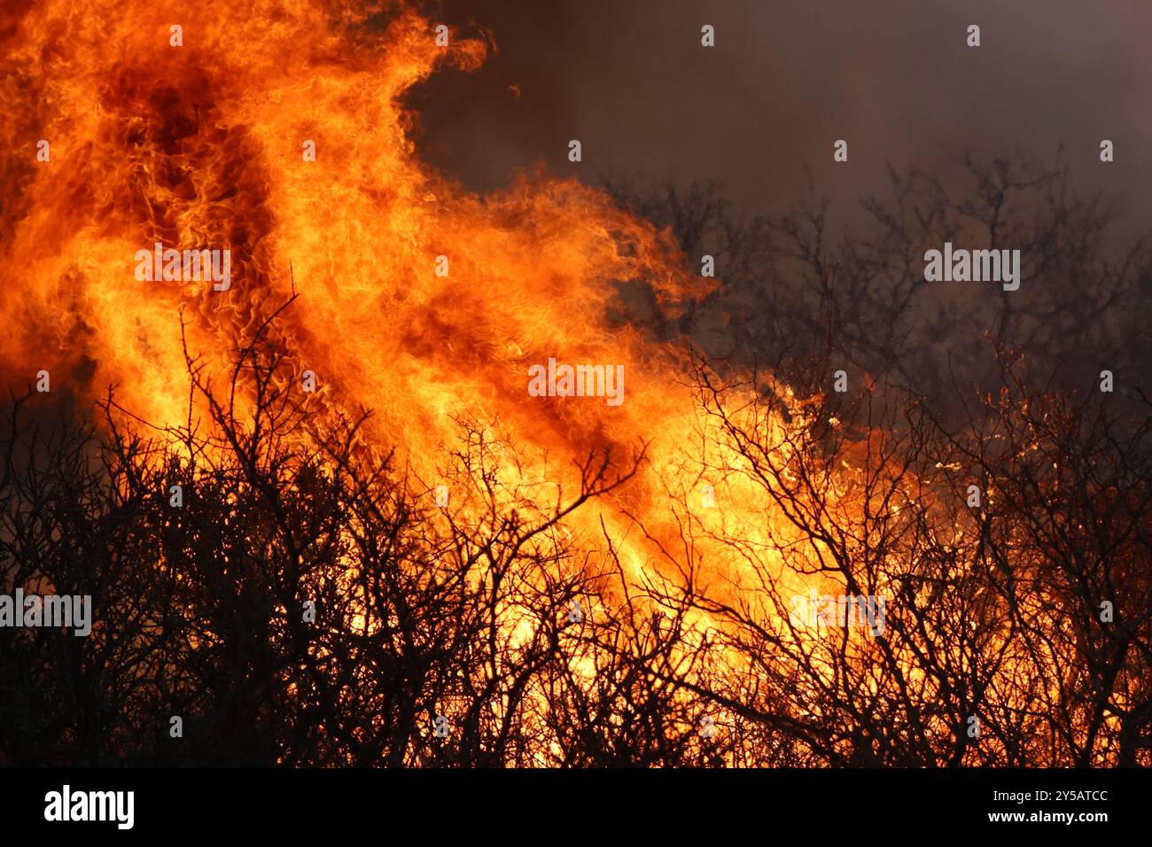 Cordoba, Argentina. 20th Sep, 2024. CORDOBA, ARGENTINA, September 19, 2024: Fierce fires hit the mountains of Cordoba, the Capilla del Monte area is besieged by the fire that has been burning out of control for 2 days, already burning thousands of hectares of mountains, houses and has left a route cut. So far only injuries and evacuations have been recorded, even in an animal reserve located in the middle of the advance of the fire in the area known as La Cumbre. Photo: Unar Photo. Credit: UNAR Photo/Alamy Live News Stock Photo