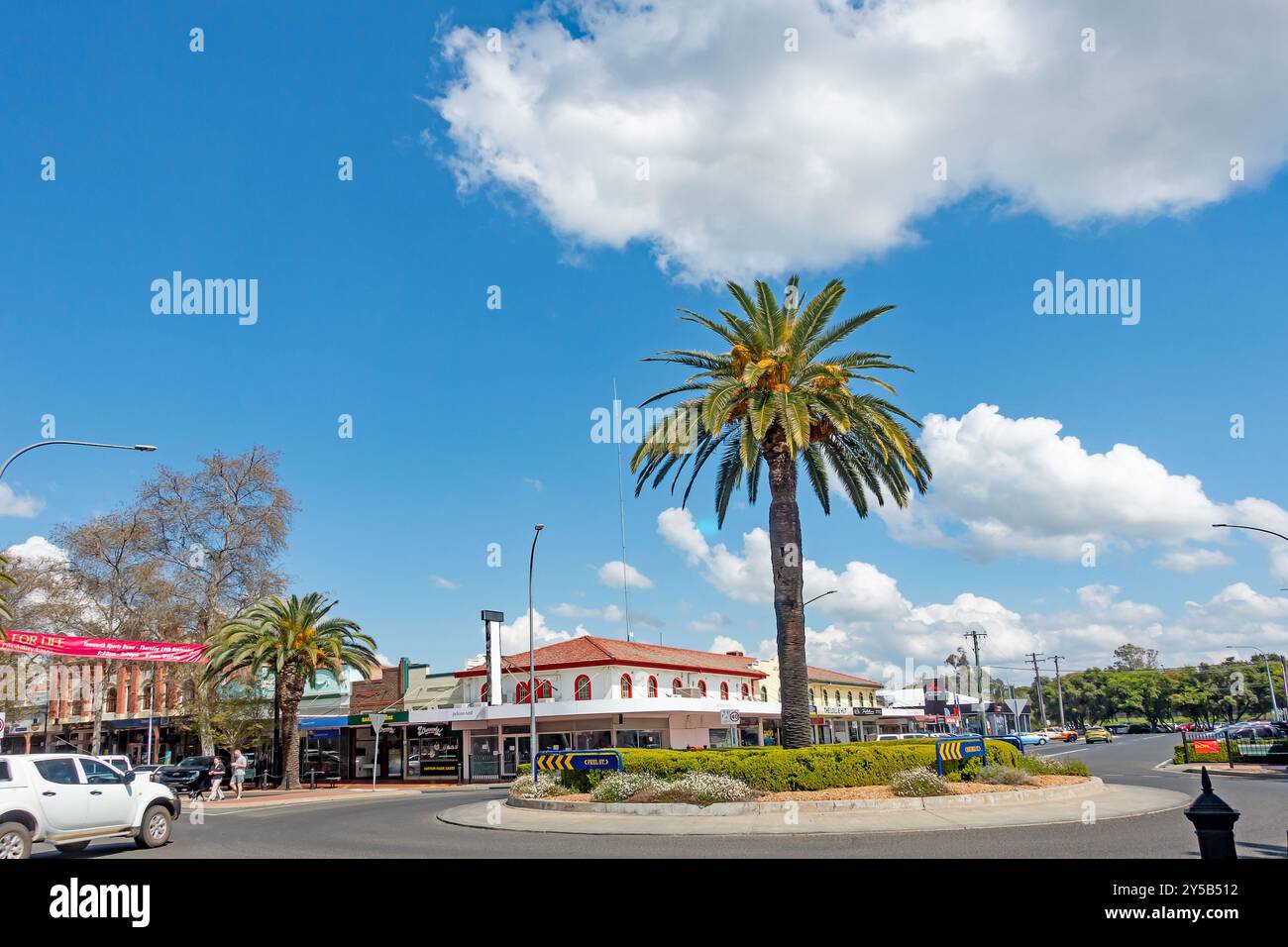 Large Palm Tree in Traffic Roundabout corner Peel and Bourke Streets Tamworth New South Wales Australia. Stock Photo