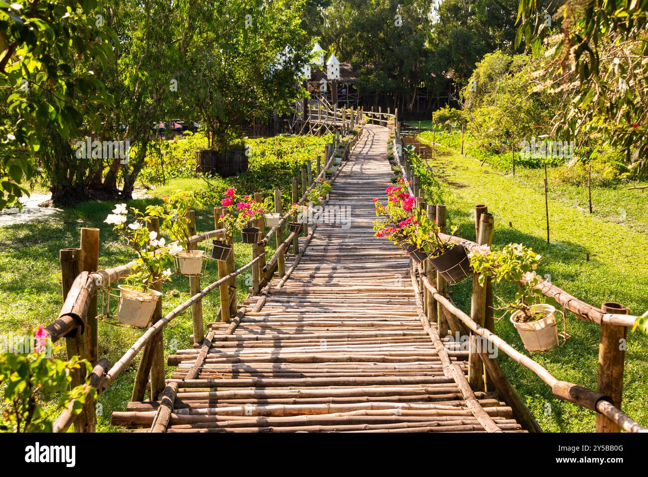 Wooden bridge in Vietnam among green tropical plants Stock Photo - Alamy