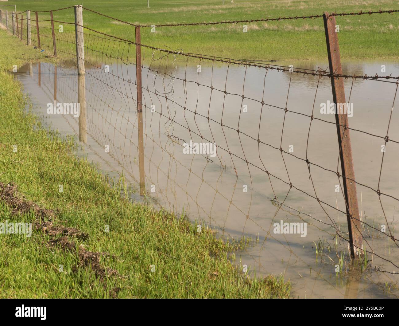 Wire fence standing in puddle of water near edge of grassy field in Australia. Stock Photo