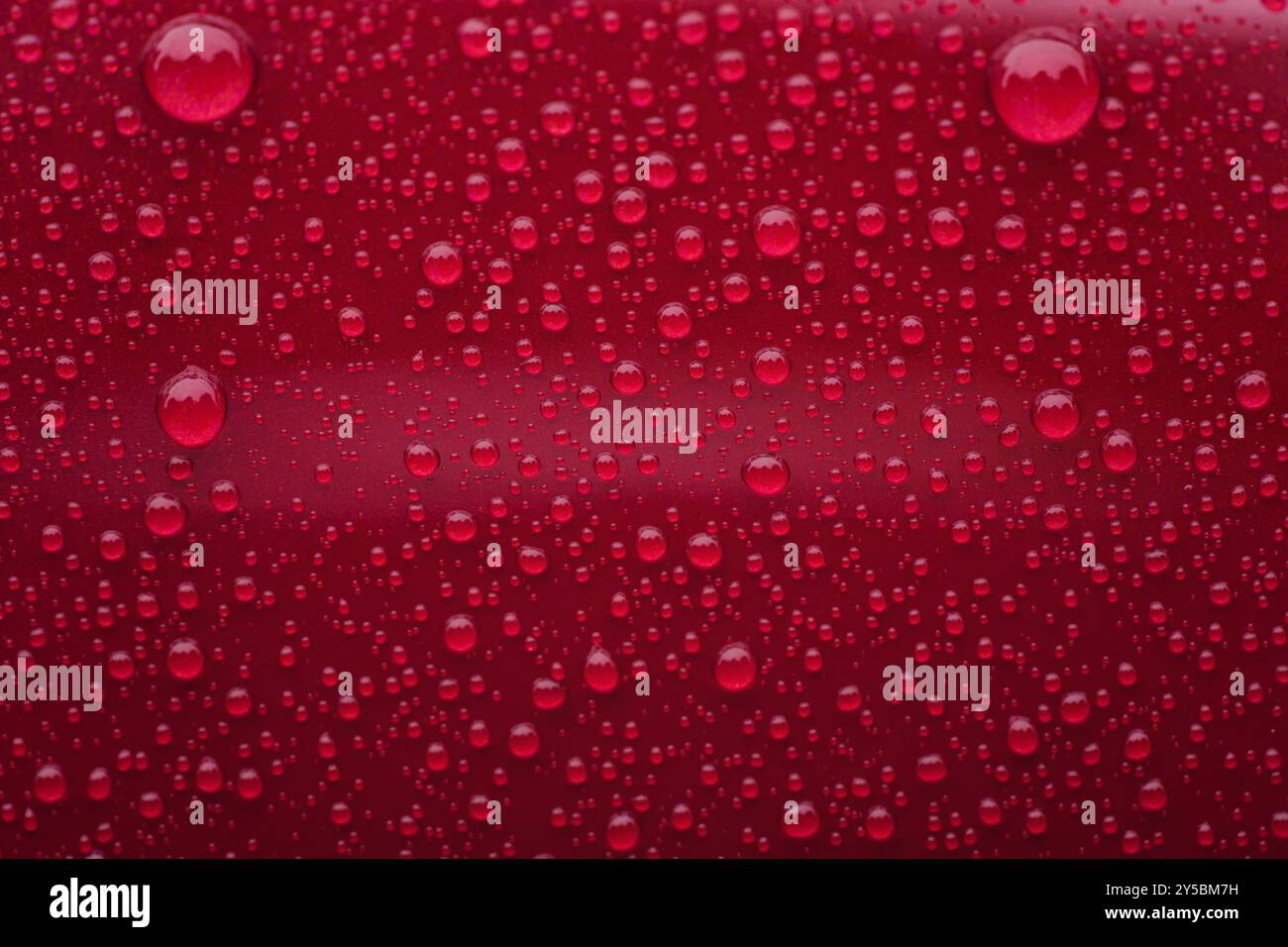 Closeup waterdrops on red ceramic coated paint surface Stock Photo