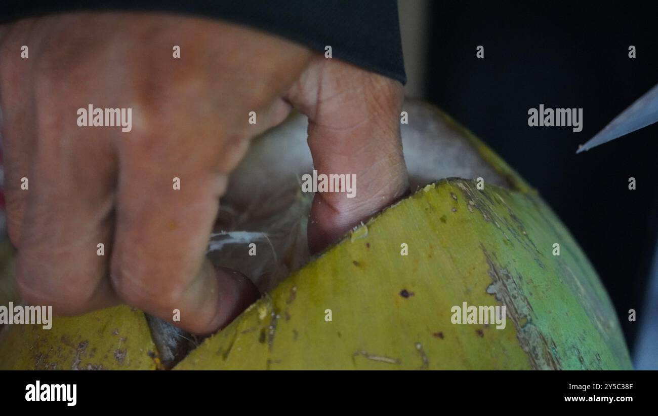 Fresh Indulgence: Hands Extracting Coconut Piece Close-Up Stock Photo