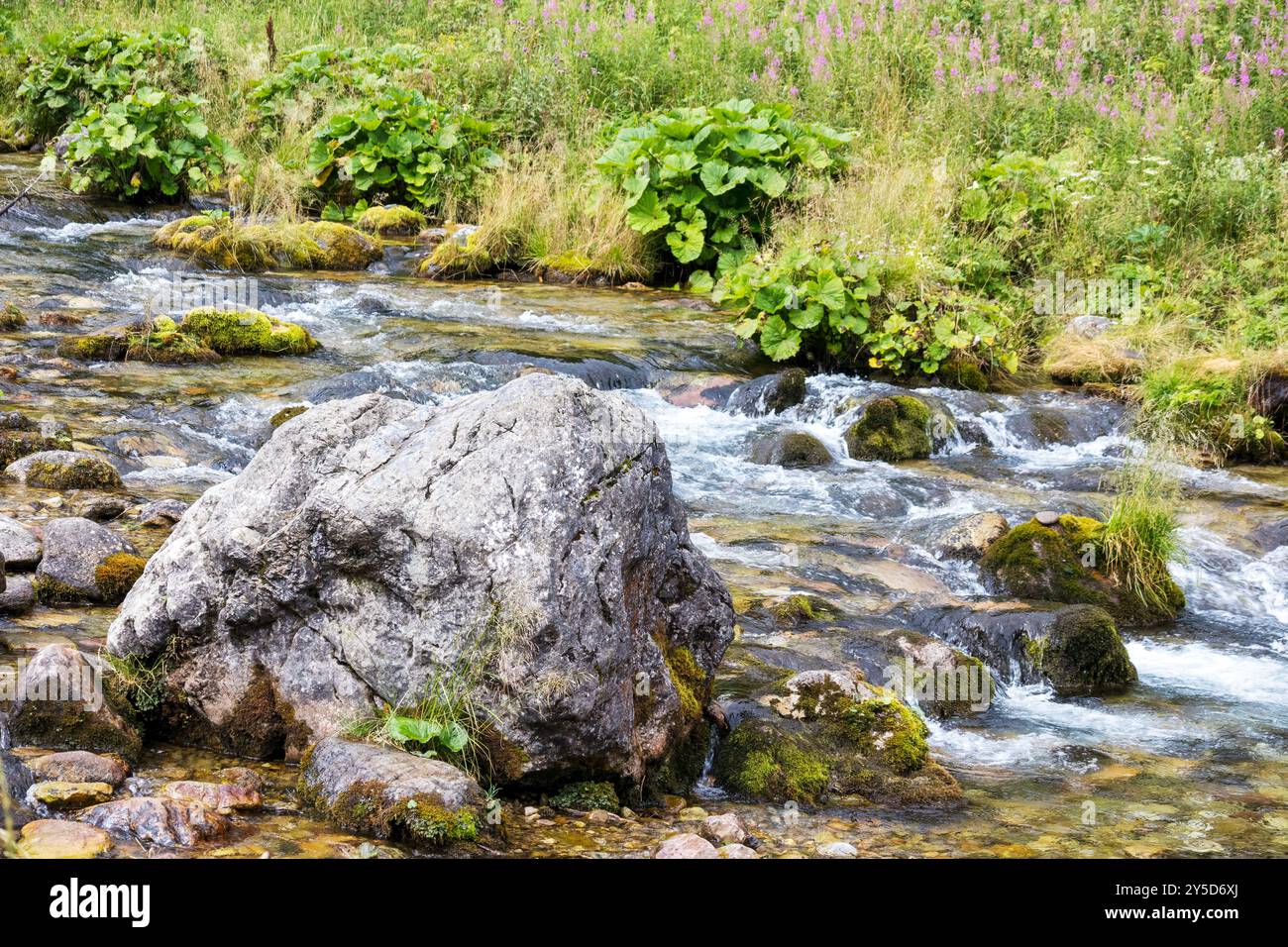 Small green trees side waterfall hi-res stock photography and images ...