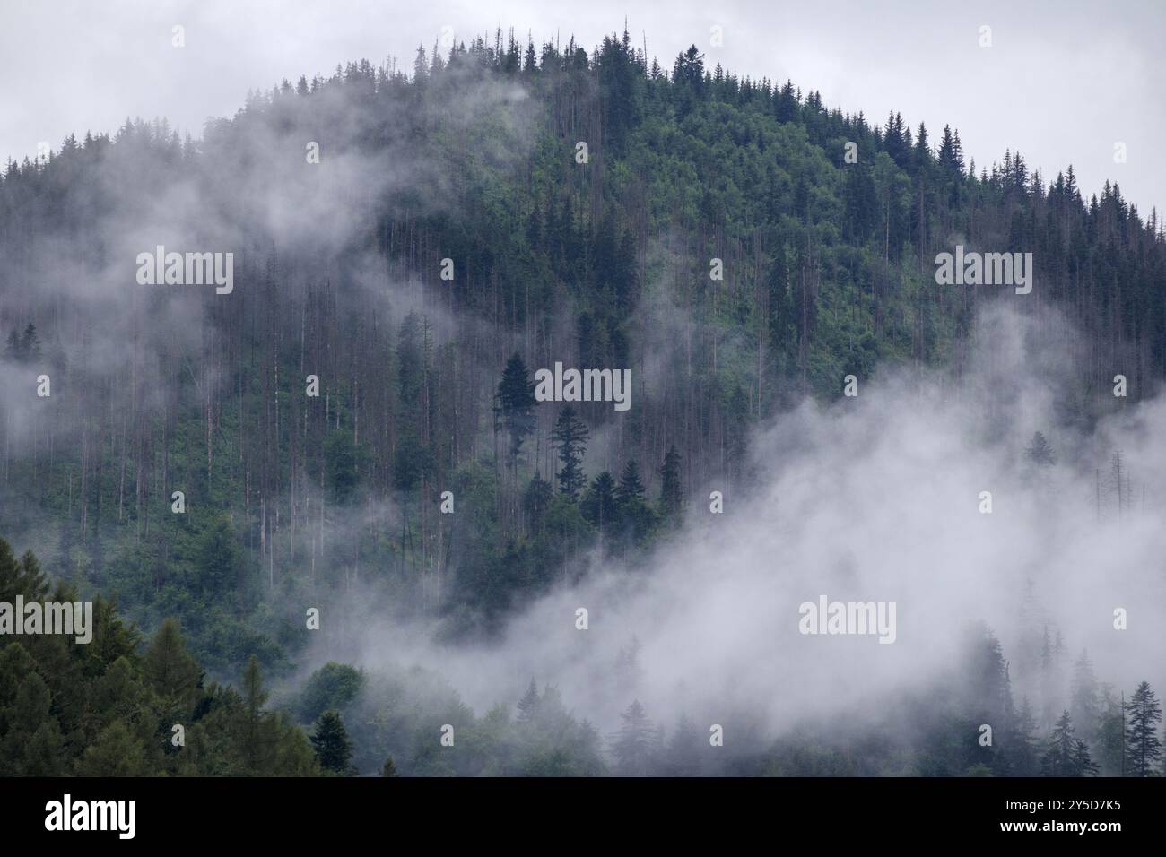 Rain clouds covered mountain hi-res stock photography and images - Alamy