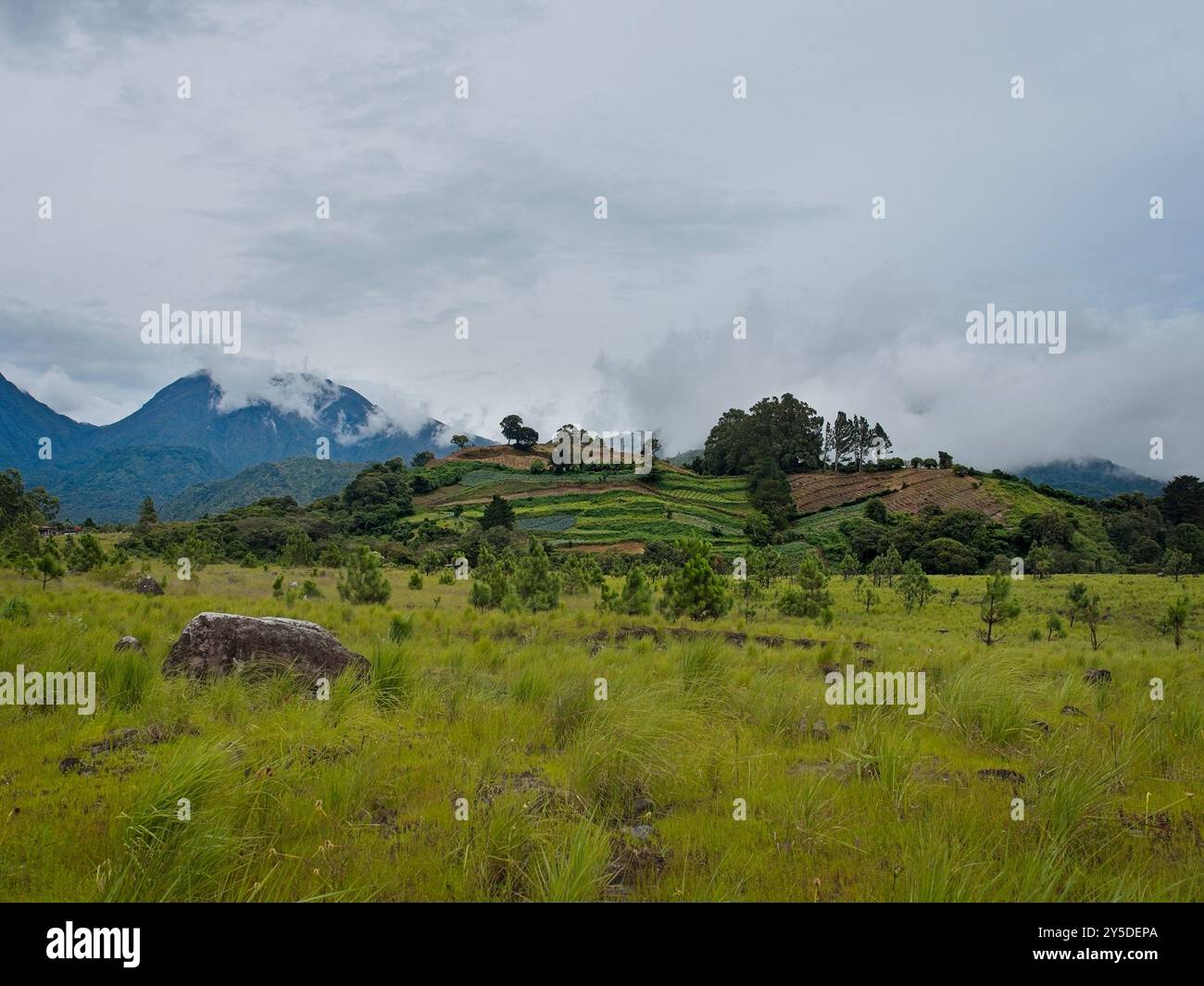 Landscape in the mountains of Panama Stock Photo