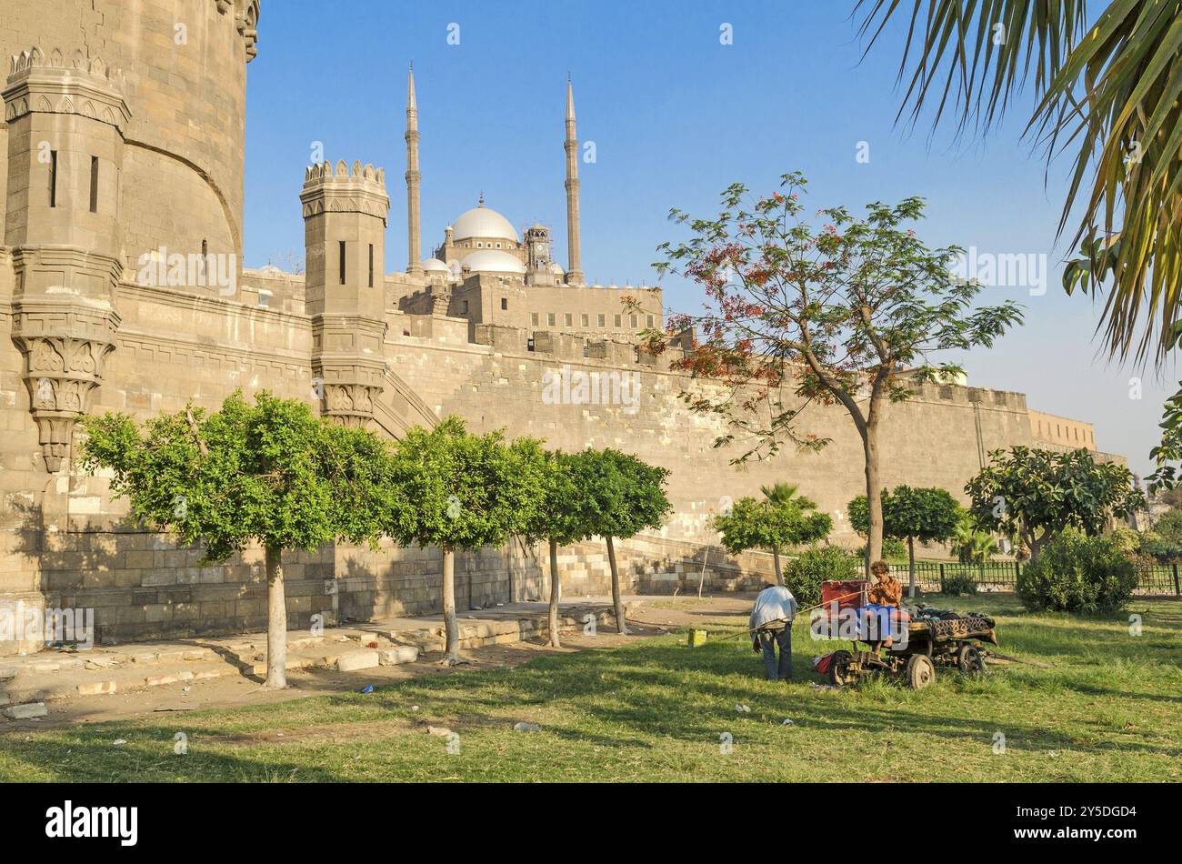 Cairo citadel in egypt landmark Stock Photo