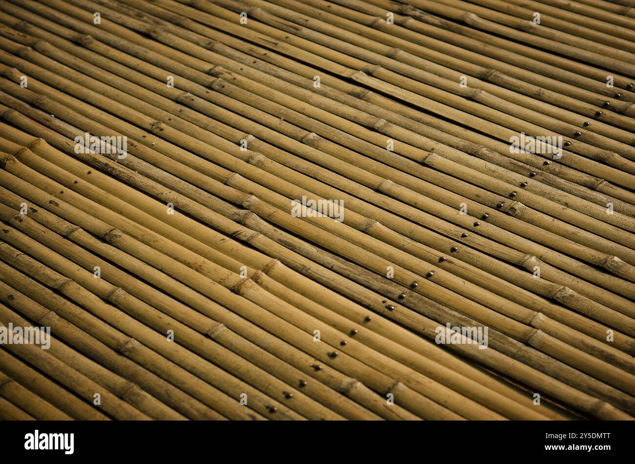 Detail of bamboo surface Stock Photo - Alamy