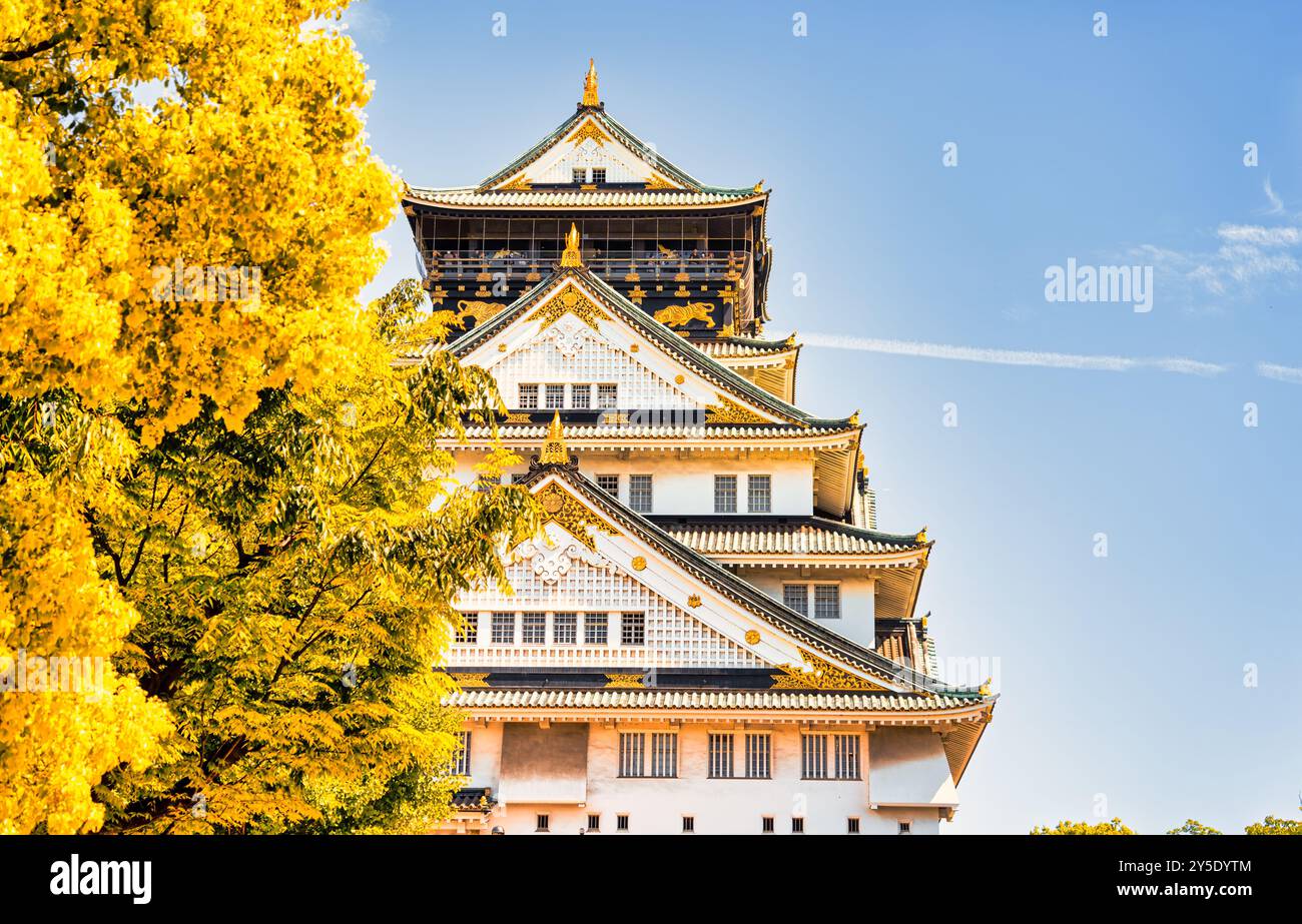 detail-view-with-osaka-castle-the-most-famous-landmark-and-popular
