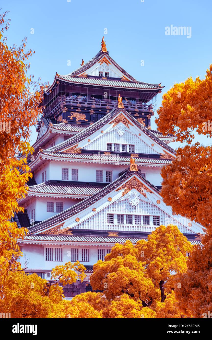 view-with-osaka-castle-the-most-famous-landmark-and-popular-tourist