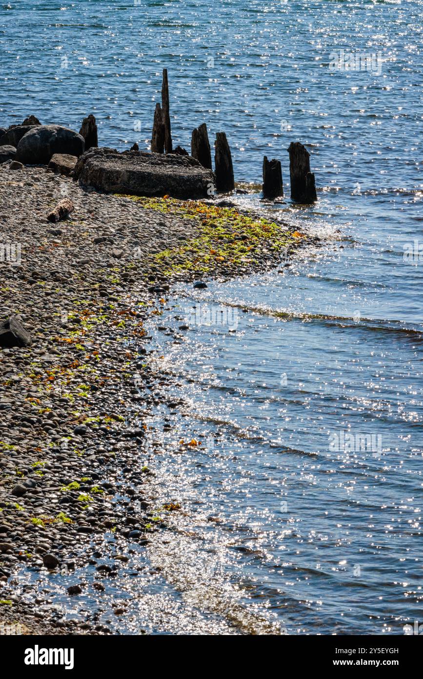 The sea sparkles at Roberts Creek Beach on the Sunshine Coast in British Columbia, Canada. Stock Photo