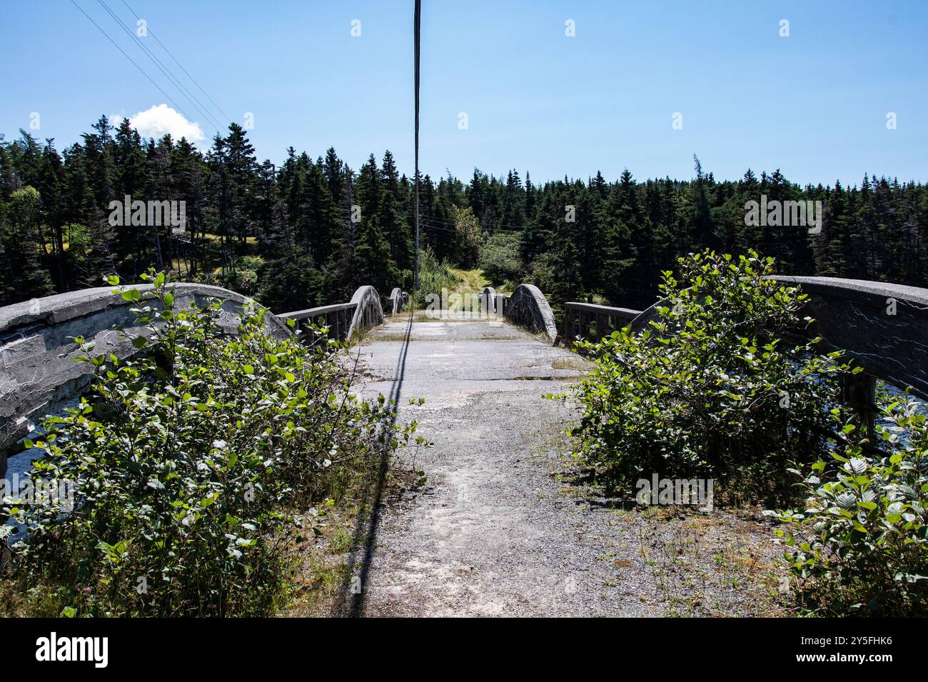 Labrador Bridge Nature taking over the deck on the abandoned dilapidated bridge on NL ...
