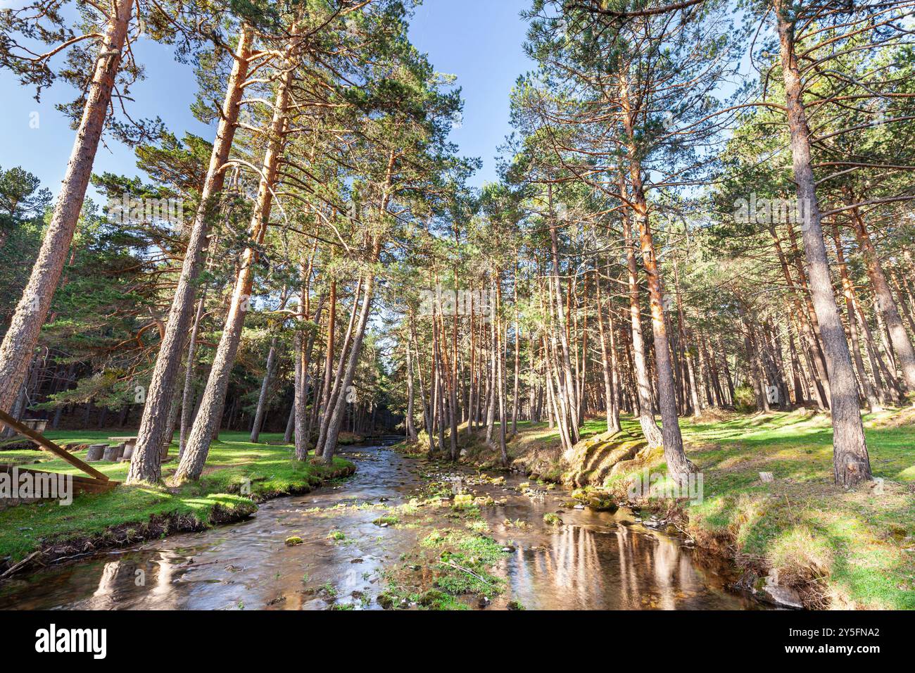 Source of Ardanza River, Quintanar de la Sierra, Burgos, Spain Stock