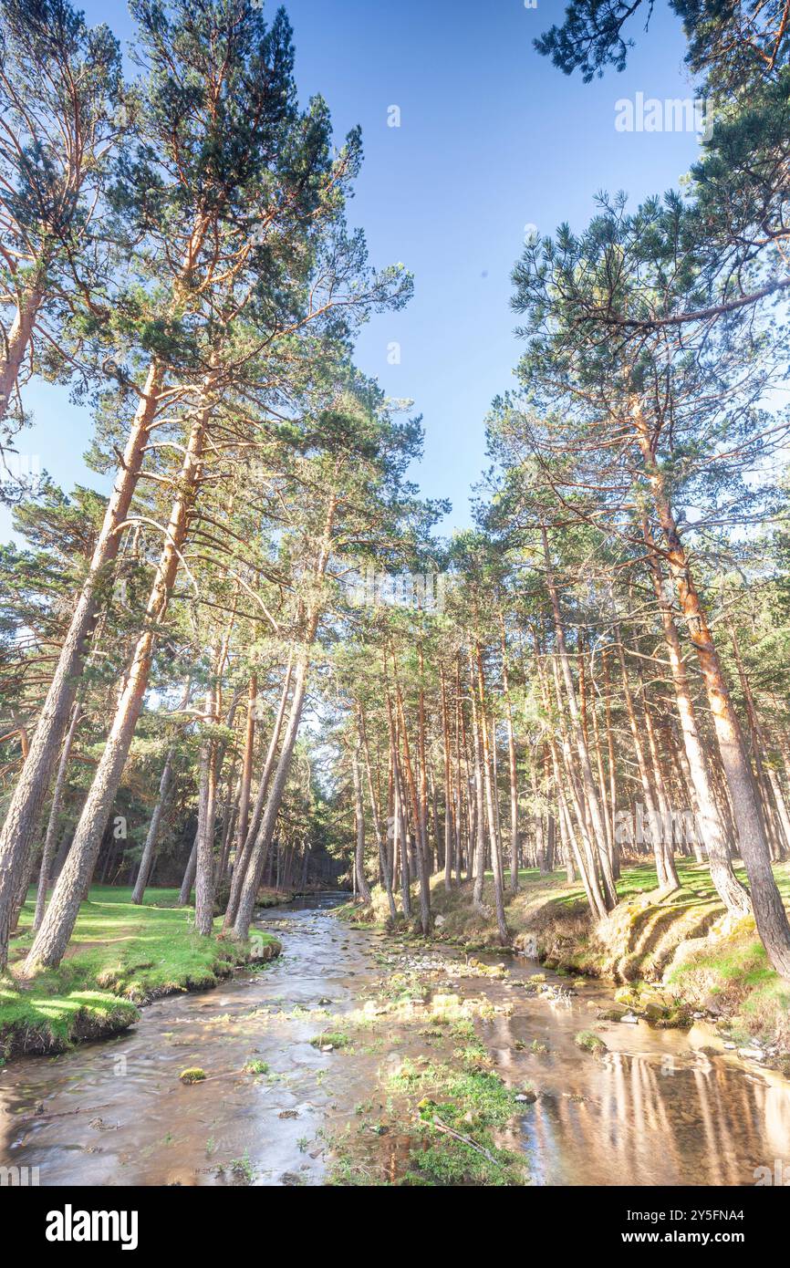 Source of Ardanza River, Quintanar de la Sierra, Burgos, Spain Stock
