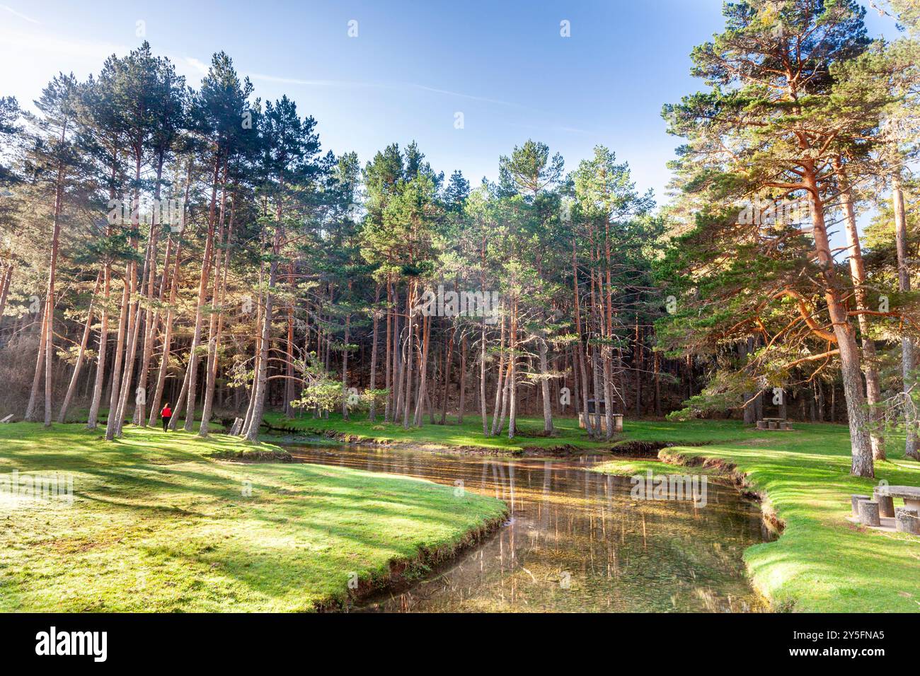 Source of Ardanza River, Quintanar de la Sierra, Burgos, Spain Stock