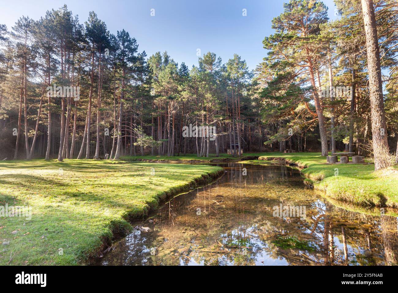 Source of Ardanza River, Quintanar de la Sierra, Burgos, Spain Stock