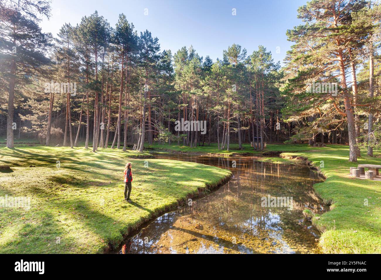 Source of Ardanza River, Quintanar de la Sierra, Burgos, Spain Stock