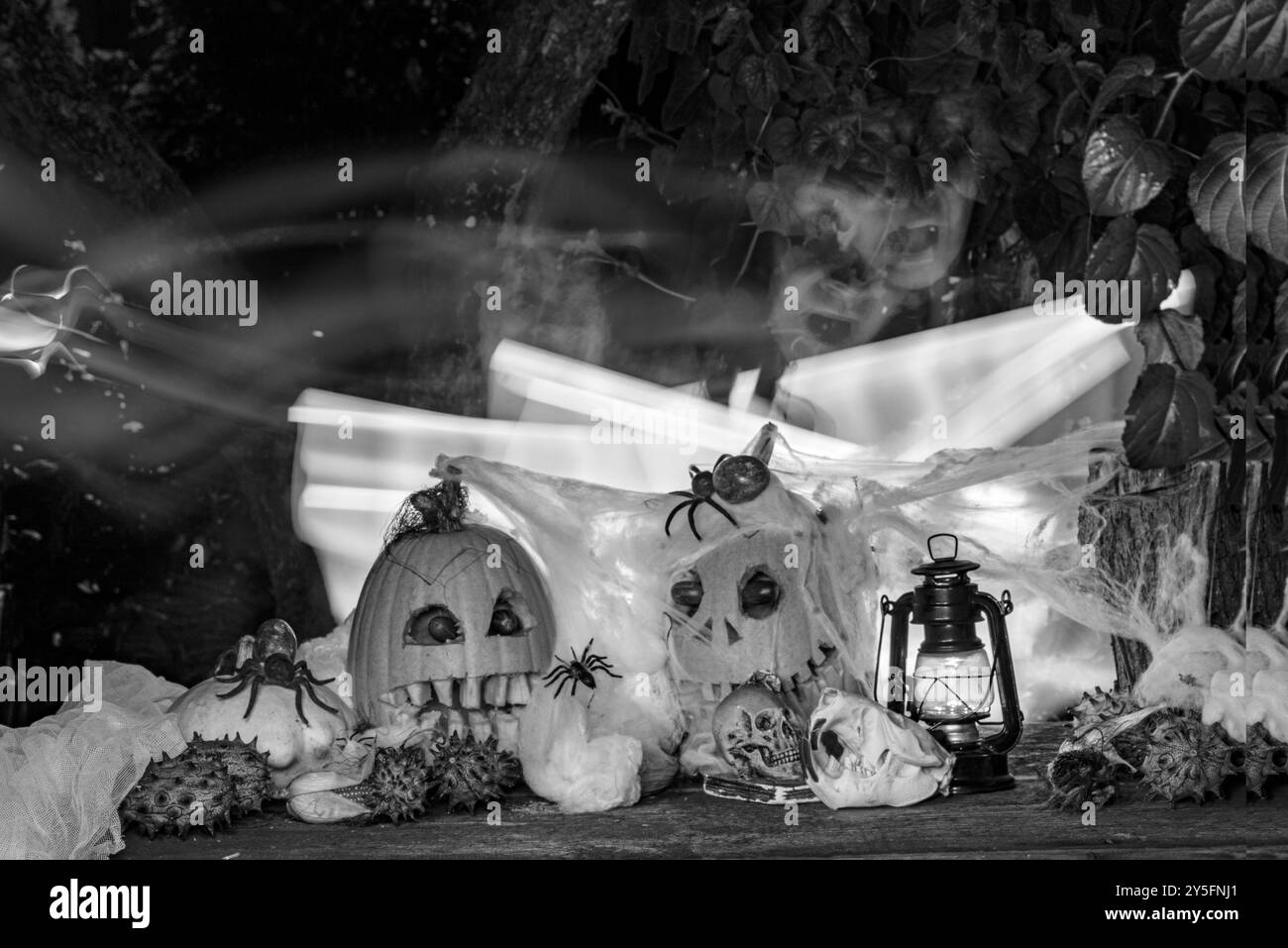 Unusual original Halloween composition, scary Jack O Lantern Halloween ...