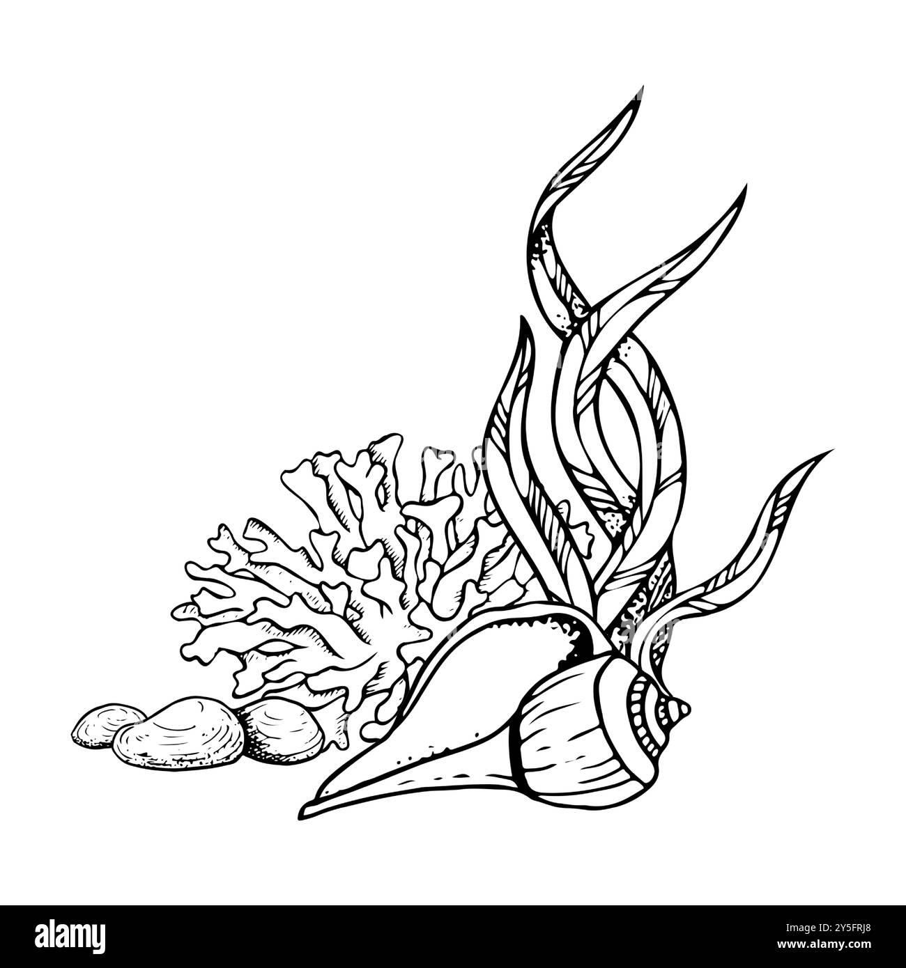 Coral rock bottom ocean Stock Vector Images - Alamy