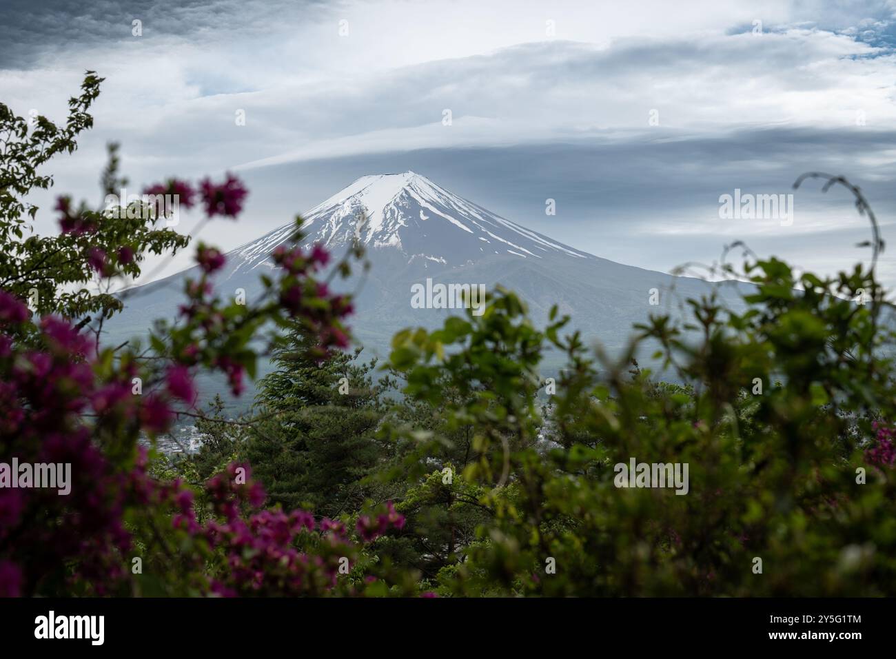 Mt. Fuji seen from Chureito Pagoda Stock Photo