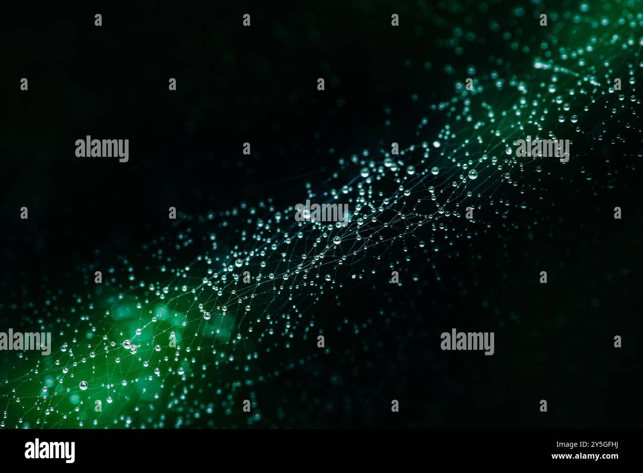 Glistening spider web with dew drops, illuminated by soft green light ...