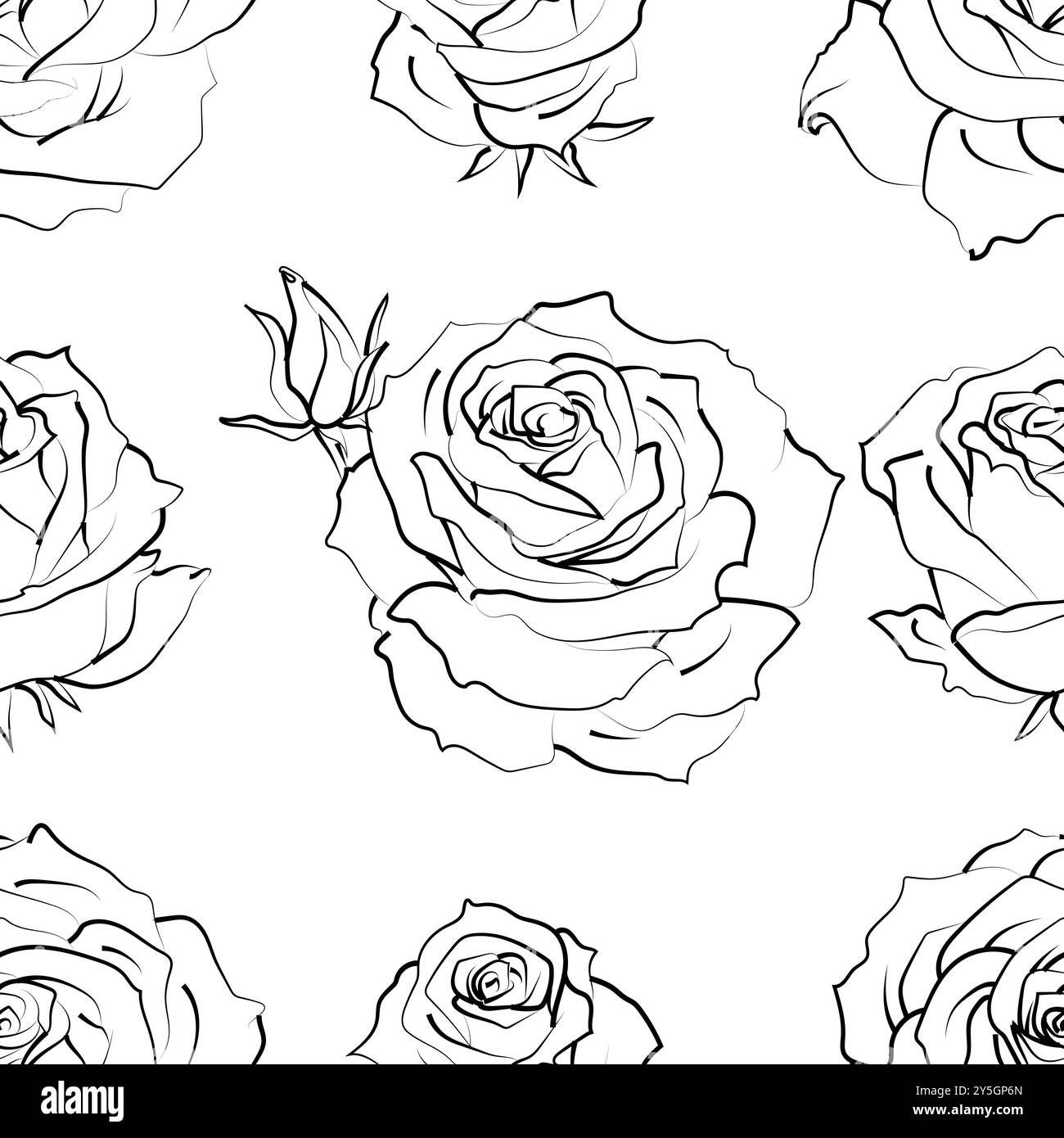 Seamless pattern with hand drawn rose flowers on white. Vector floral ...