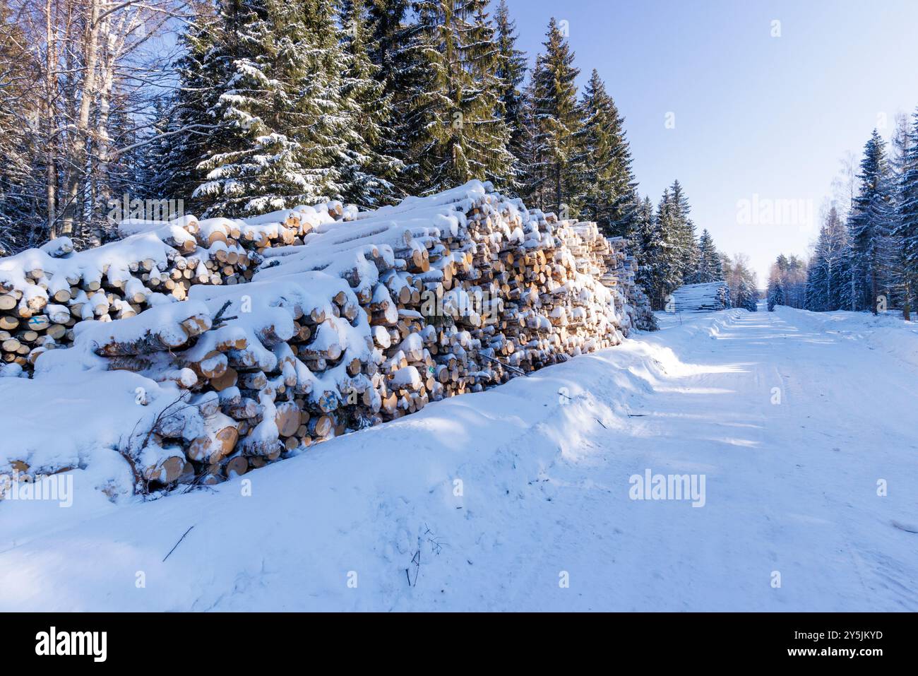 Log piles stored along logging road at Winter, Finland Stock Photo - Alamy