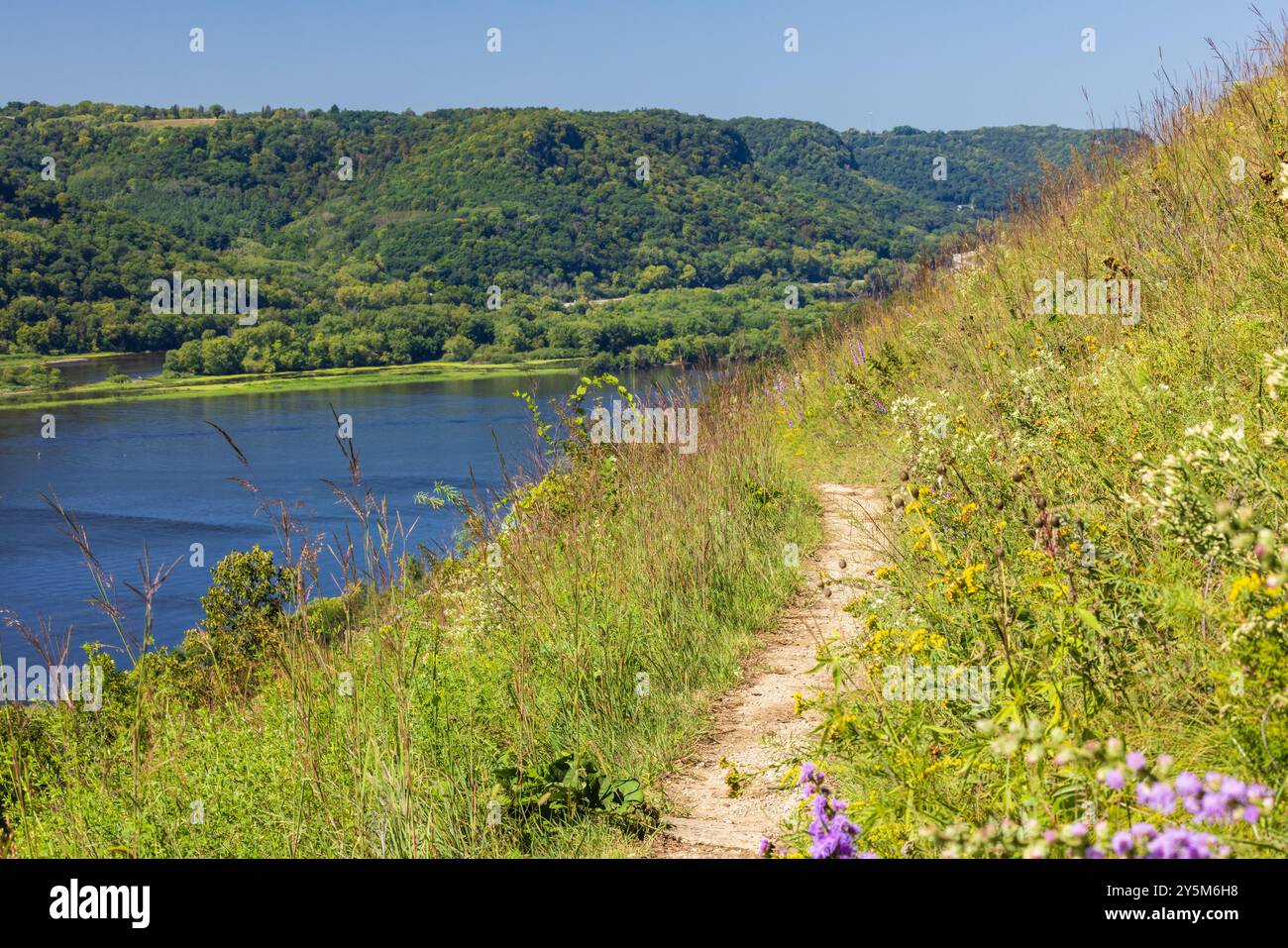 Mississippi river trail hi-res stock photography and images - Alamy