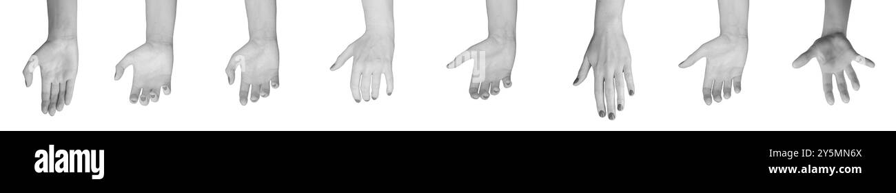 Hands signs, gestures of grabbing, holding, taking, set isolated on white background. Stock Photo