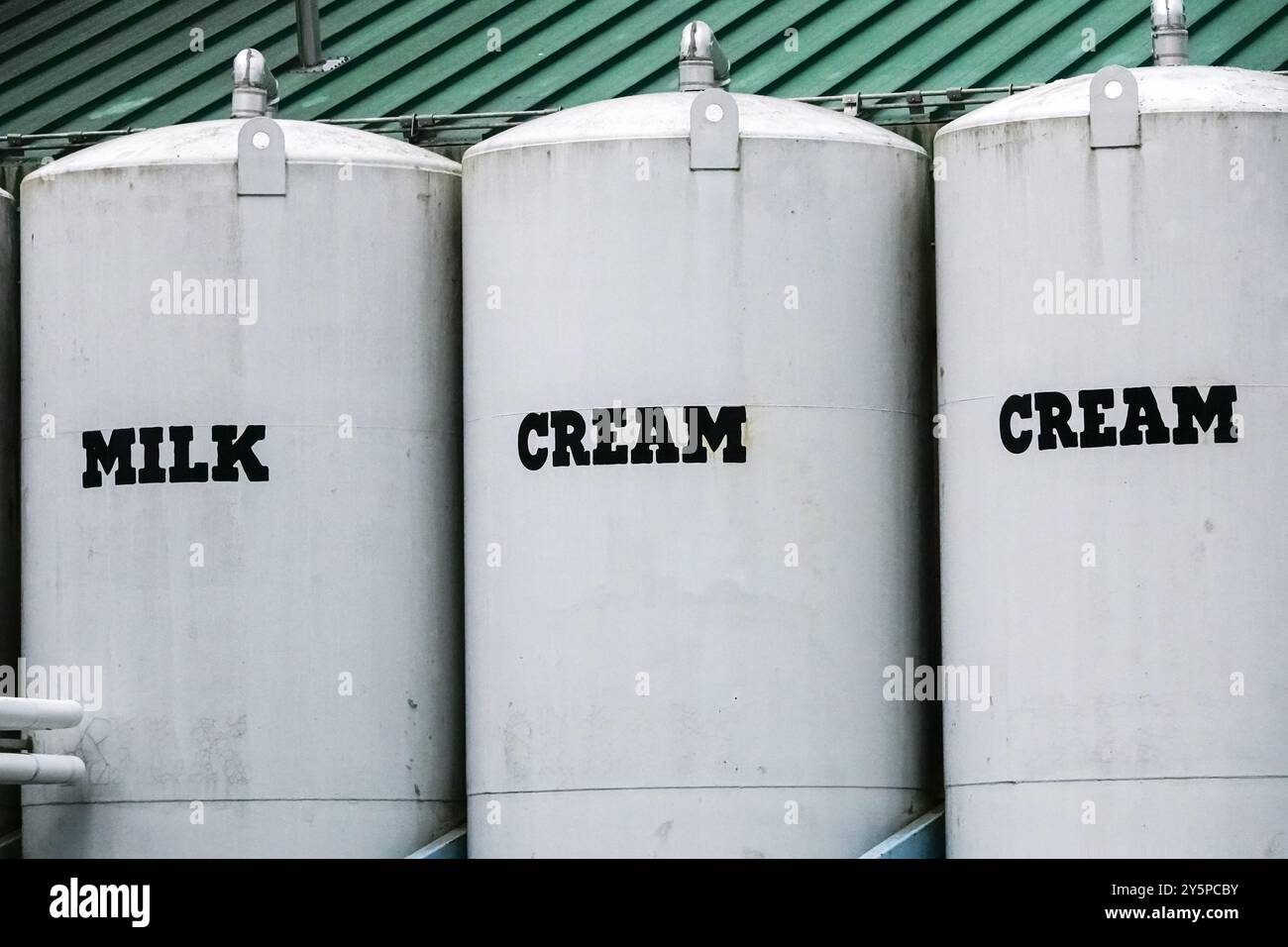 Giant bulk containers of Milk, Cream and Sugar feeding the production ...