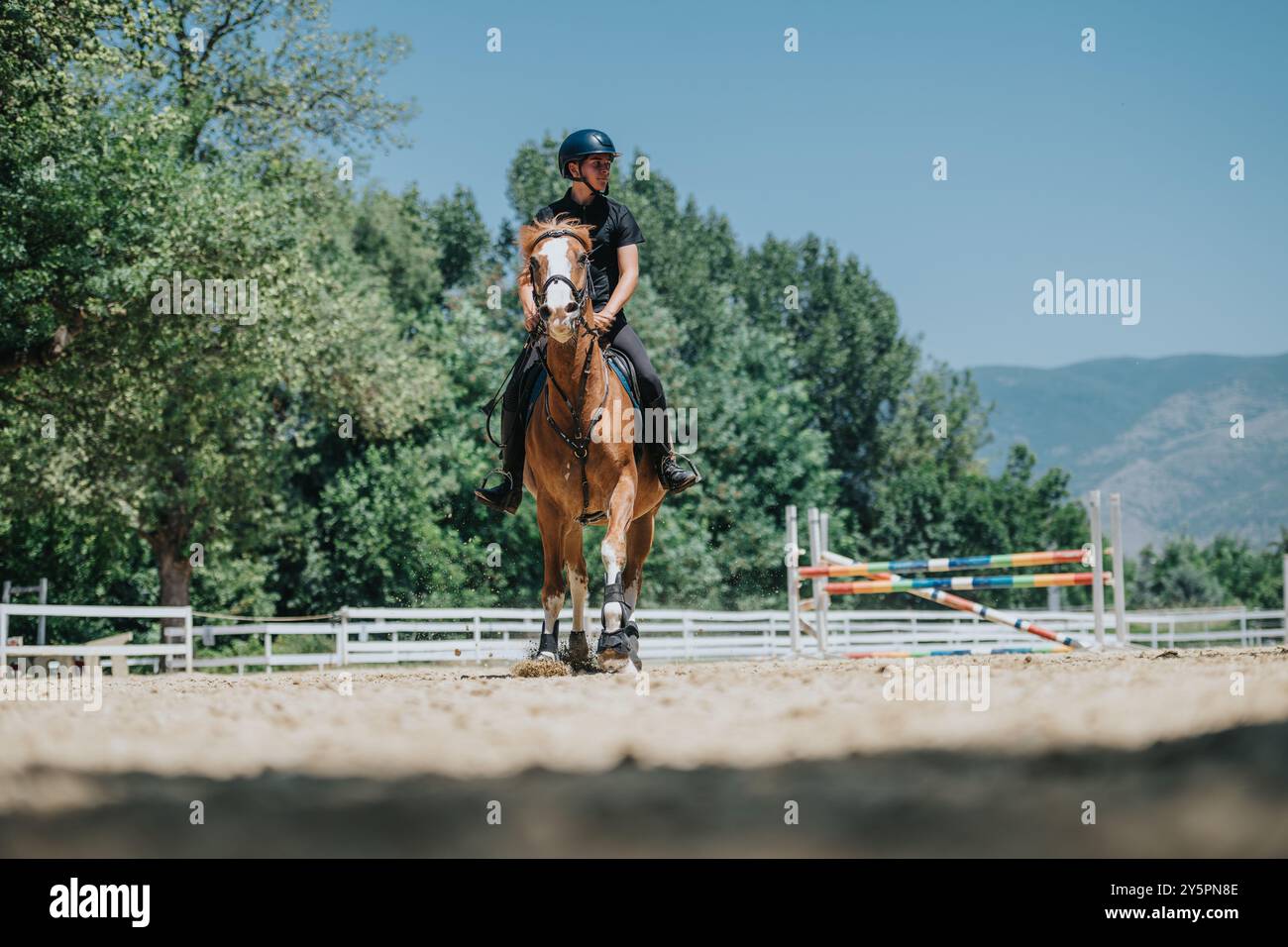 Horse rider in helmet practicing show jumping in outdoor equestrian ...