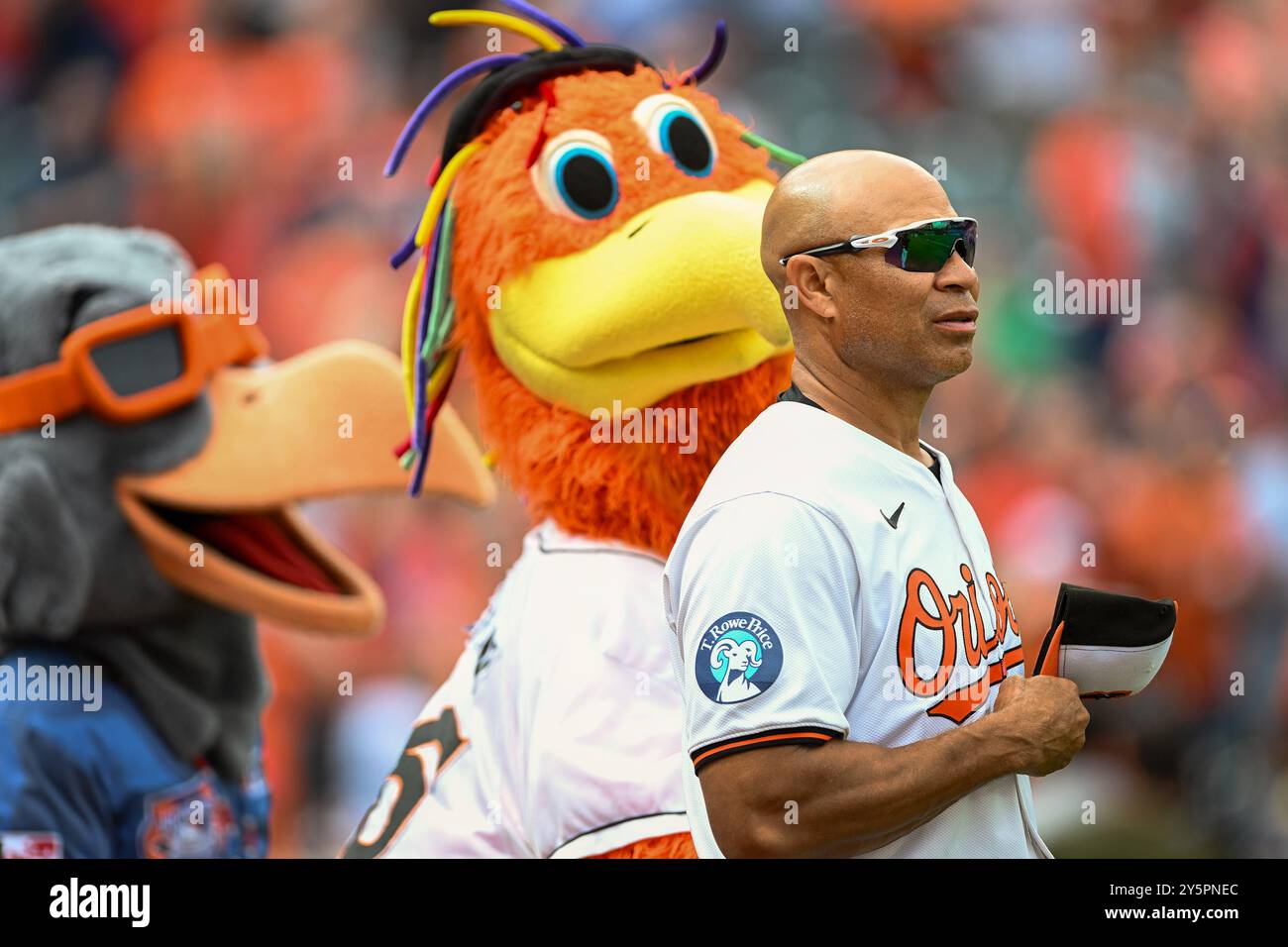 Baltimore first base coach anthony sanders hi-res stock photography and ...